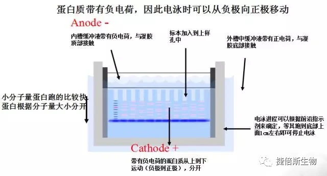 探索消费动机图谱，洞察消费者心理的秘密